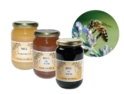 Miel d'Eucalyptus 500g